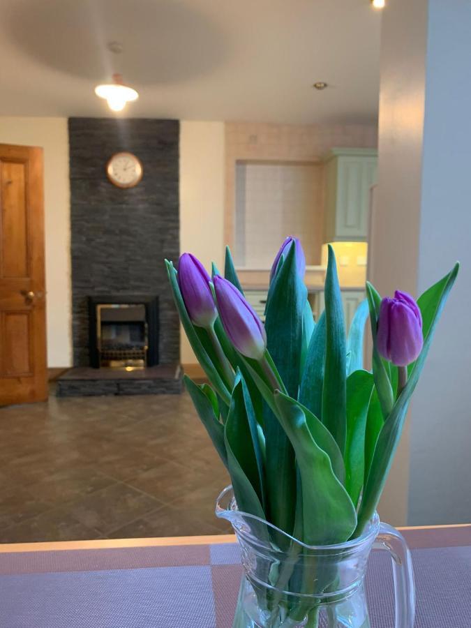 Ringfort Manor Rathfriland ภายนอก รูปภาพ